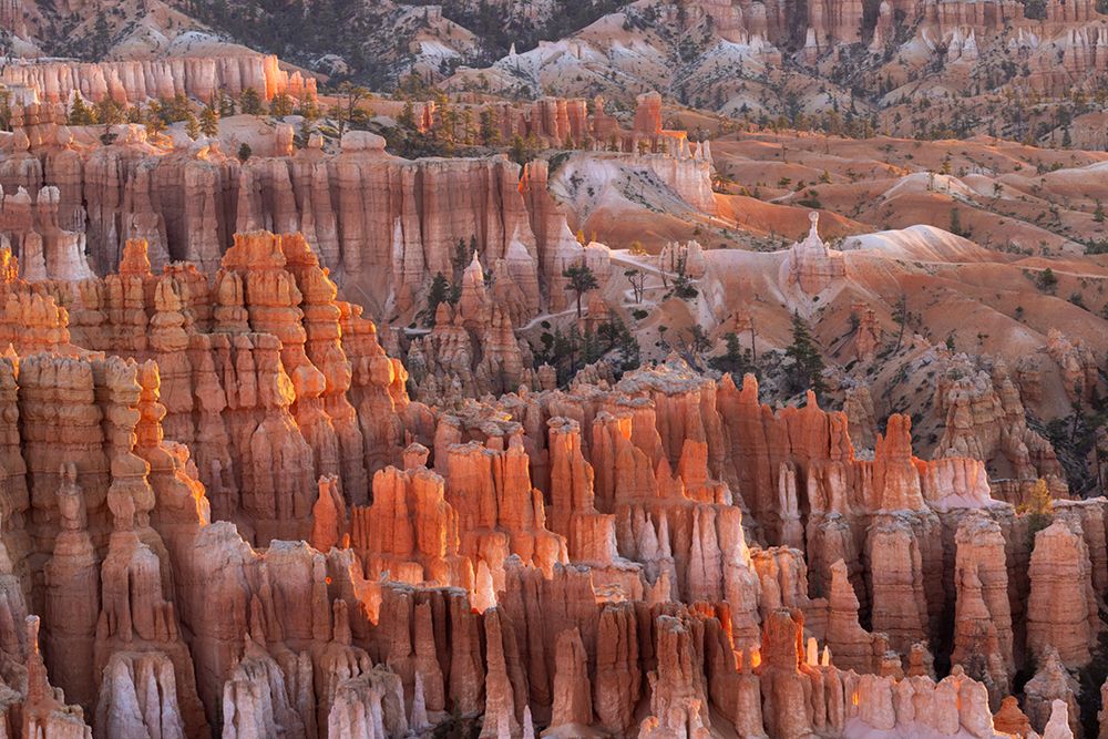 Sunrise at Bryce Canyon National Park, Utah